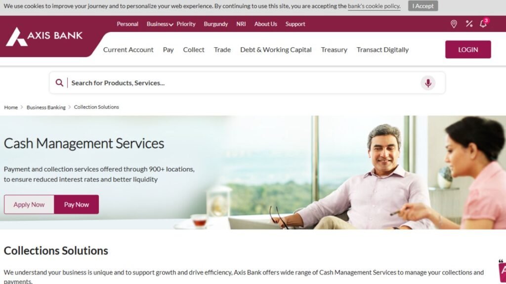 What is Tallyman Axis Bank?